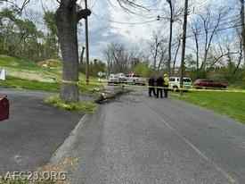 Tree down from Indian Run Road. Caution tape put up to protect and alert motorists and pedestrians of an emergency scene 